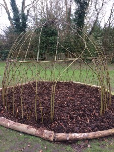 Willow dome on the rec