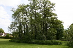 Current copse