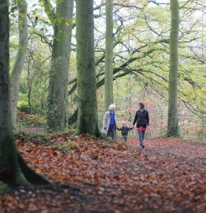 Three people walking in a forest