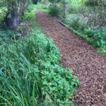 Path with fresh wood chip