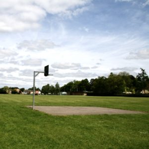 photograph of a basketball hoop surrounded by grass